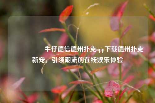🎖️牛仔德信德州扑克app下载德州扑克新宠，引领潮流的在线娱乐体验
