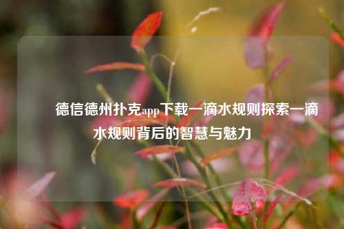✌️德信德州扑克app下载一滴水规则探索一滴水规则背后的智慧与魅力