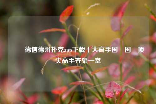 ✌️德信德州扑克app下载十大高手国內国內顶尖高手齐聚一堂
