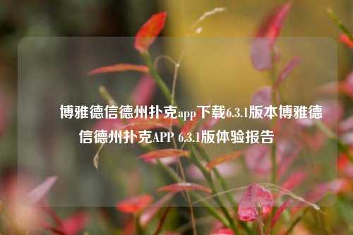 ✌️博雅德信德州扑克app下载6.3.1版本博雅德信德州扑克APP 6.3.1版体验报告