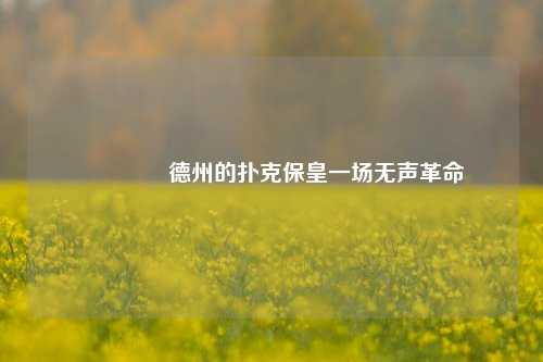 🌈德州的扑克保皇一场无声革命