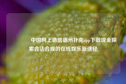 👍中国网上德信德州扑克app下载现金探索合法合规的在线娱乐新途径