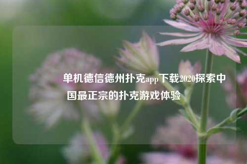 👈单机德信德州扑克app下载2020探索中国最正宗的扑克游戏体验