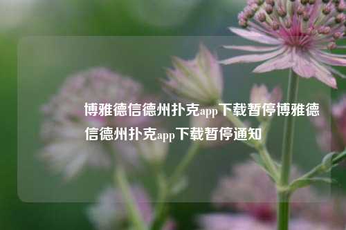 🏆博雅德信德州扑克app下载暂停博雅德信德州扑克app下载暂停通知