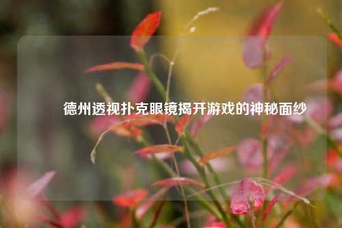 ✌️德州透视扑克眼镜揭开游戏的神秘面纱