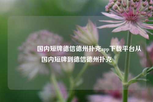 🏅国内短牌德信德州扑克app下载平台从国内短牌到德信德州扑克