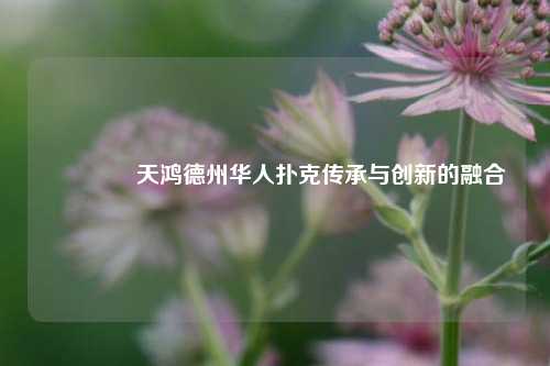 🥈天鸿德州华人扑克传承与创新的融合