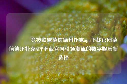 👉竞技联盟德信德州扑克app下载官网德信德州扑克APP下载官网引领潮流的数字娱乐新选择