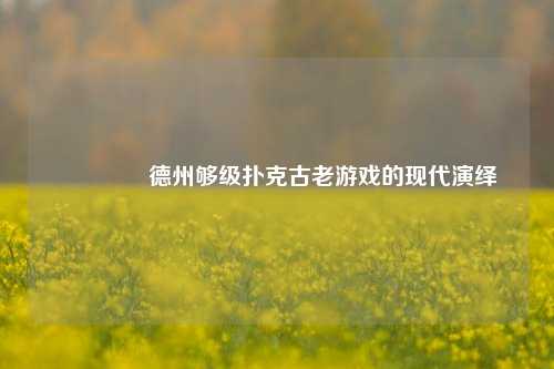 🥈德州够级扑克古老游戏的现代演绎