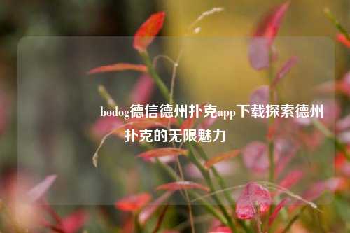 🎖️bodog德信德州扑克app下载探索德州扑克的无限魅力