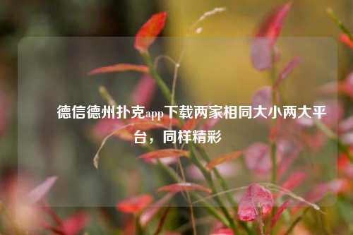 ✌️德信德州扑克app下载两家相同大小两大平台，同样精彩