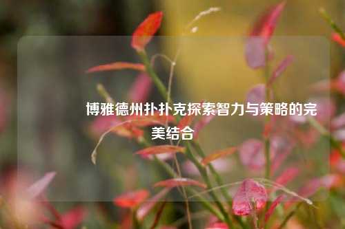 👍博雅德州扑扑克探索智力与策略的完美结合