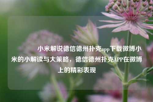 🏅小米解说德信德州扑克app下载微博小米的小解读与大策略，德信德州扑克APP在微博上的精彩表现