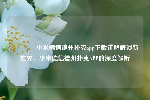 🏆小米德信德州扑克app下载讲解解锁新世界，小米德信德州扑克APP的深度解析