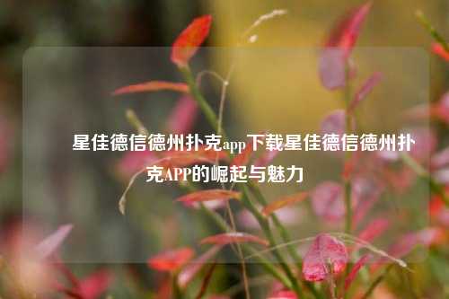 ✌️星佳德信德州扑克app下载星佳德信德州扑克APP的崛起与魅力