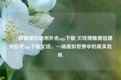 ✌️博雅德信德州扑克app下载 欠钱博雅德信德州扑克app下载欠钱，一场虚拟世界中的真实危机