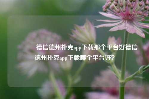 👍德信德州扑克app下载那个平台好德信德州扑克app下载哪个平台好？