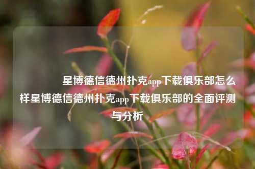 🥉星博德信德州扑克app下载俱乐部怎么样星博德信德州扑克app下载俱乐部的全面评测与分析