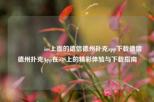 🎖️ios上面的德信德州扑克app下载德信德州扑克App在iOS上的精彩体验与下载指南