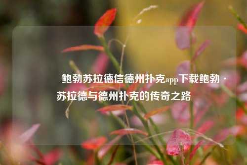 👍鲍勃苏拉德信德州扑克app下载鲍勃·苏拉德与德州扑克的传奇之路