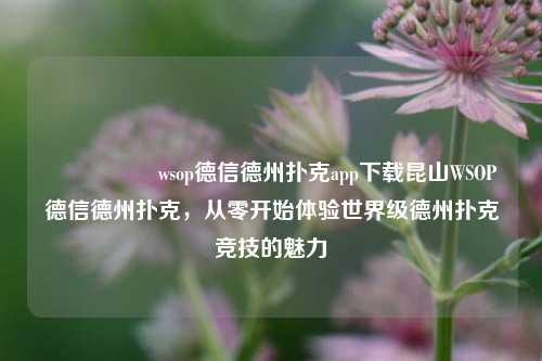 🎖️wsop德信德州扑克app下载昆山WSOP德信德州扑克，从零开始体验世界级德州扑克竞技的魅力