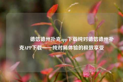 🌈德信德州扑克app下载纯对德信德州扑克APP下载——纯对局体验的极致享受