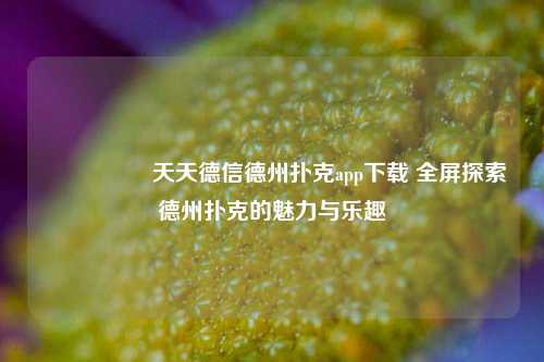 🎖️天天德信德州扑克app下载 全屏探索德州扑克的魅力与乐趣