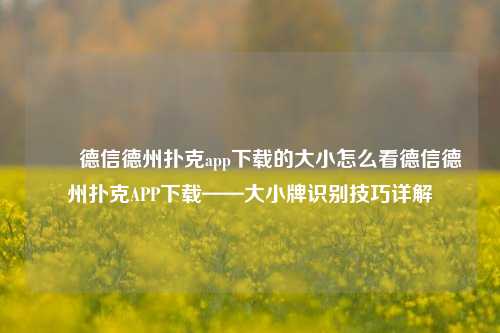 ✌️德信德州扑克app下载的大小怎么看德信德州扑克APP下载——大小牌识别技巧详解