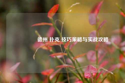 🥉德州 扑克 技巧策略与实战攻略