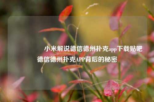 🎖️小米解说德信德州扑克app下载贴吧德信德州扑克APP背后的秘密