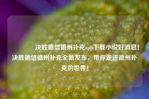 👈决胜德信德州扑克app下载小说好消息！决胜德信德州扑克全新发布，带你走进德州扑克的世界！