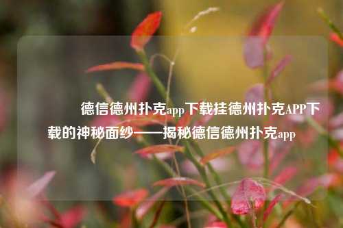 🌈德信德州扑克app下载挂德州扑克APP下载的神秘面纱——揭秘德信德州扑克app