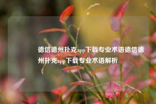 🥇德信德州扑克app下载专业术语德信德州扑克app下载专业术语解析