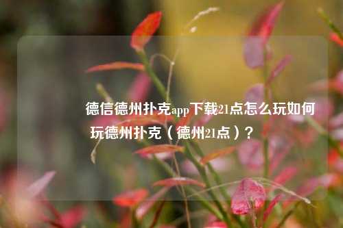 🏆德信德州扑克app下载21点怎么玩如何玩德州扑克（德州21点）？