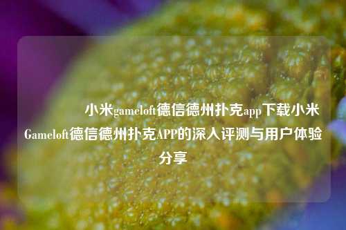 👉小米gameloft德信德州扑克app下载小米Gameloft德信德州扑克APP的深入评测与用户体验分享
