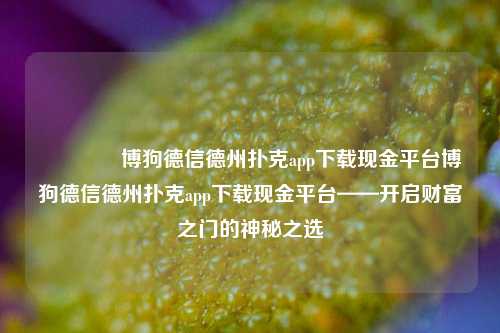 🥇博狗德信德州扑克app下载现金平台博狗德信德州扑克app下载现金平台——开启财富之门的神秘之选