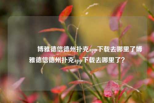 🥈博雅德信德州扑克app下载去哪里了博雅德信德州扑克app下载去哪里了？