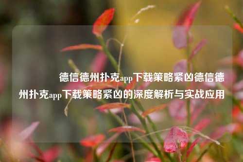 🌈德信德州扑克app下载策略紧凶德信德州扑克app下载策略紧凶的深度解析与实战应用