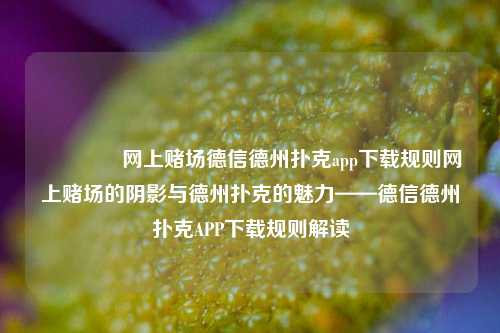 👈网上赌场德信德州扑克app下载规则网上赌场的阴影与德州扑克的魅力——德信德州扑克APP下载规则解读