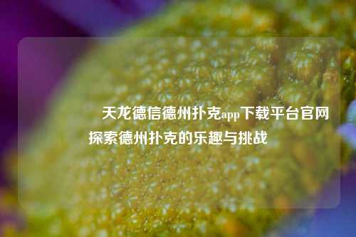 🎖️天龙德信德州扑克app下载平台官网探索德州扑克的乐趣与挑战