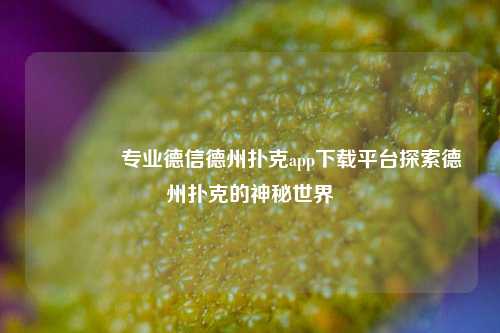 👈专业德信德州扑克app下载平台探索德州扑克的神秘世界