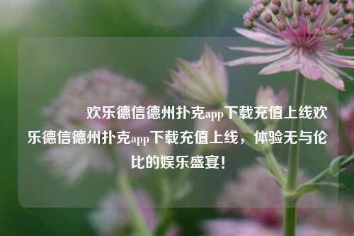🥈欢乐德信德州扑克app下载充值上线欢乐德信德州扑克app下载充值上线，体验无与伦比的娱乐盛宴！