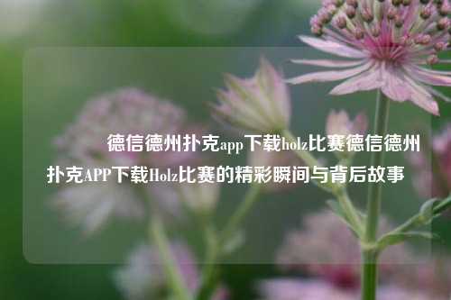 🥉德信德州扑克app下载holz比赛德信德州扑克APP下载Holz比赛的精彩瞬间与背后故事