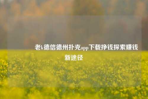👍老k德信德州扑克app下载挣钱探索赚钱新途径