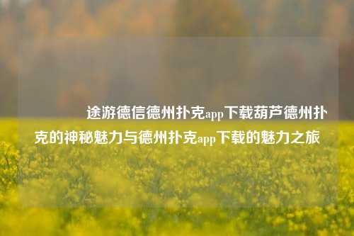 👉途游德信德州扑克app下载葫芦德州扑克的神秘魅力与德州扑克app下载的魅力之旅