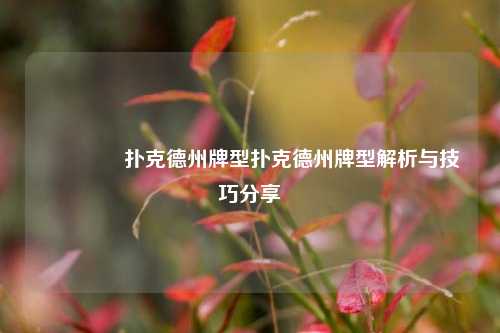 👍扑克德州牌型扑克德州牌型解析与技巧分享