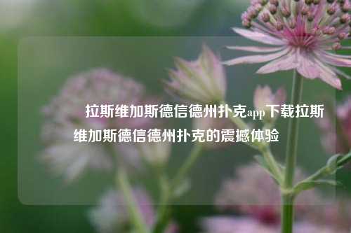 👈拉斯维加斯德信德州扑克app下载拉斯维加斯德信德州扑克的震撼体验