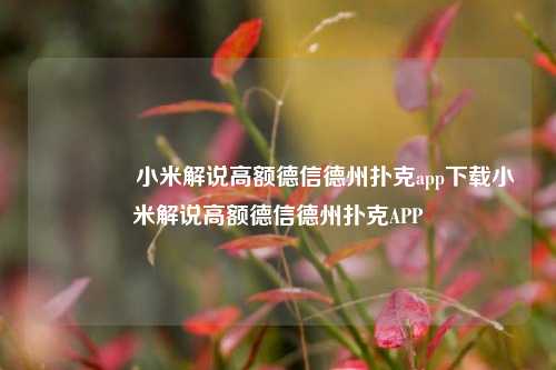 🌈小米解说高额德信德州扑克app下载小米解说高额德信德州扑克APP
