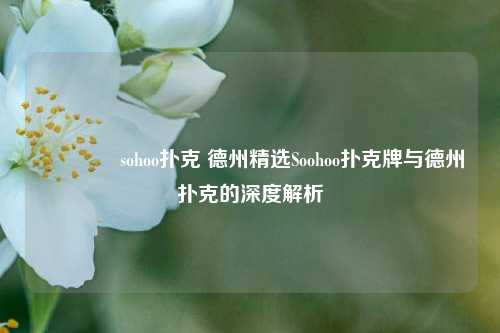 👍sohoo扑克 德州精选Soohoo扑克牌与德州扑克的深度解析