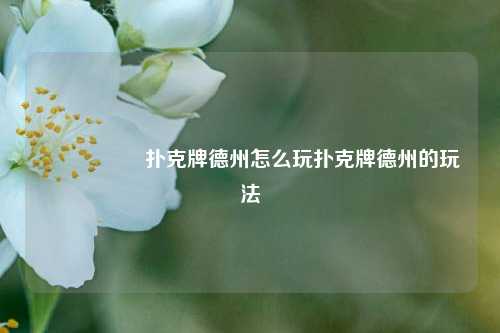 🎖️扑克牌德州怎么玩扑克牌德州的玩法